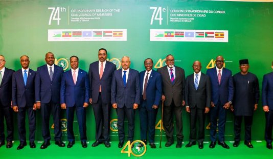 The regional organization IGAD has called on Somalia’s political stakeholders to reach an agreement on the electoral model.