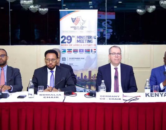 A meeting on economic cooperation and connectivity in the Horn of Africa, chaired by Somalia.