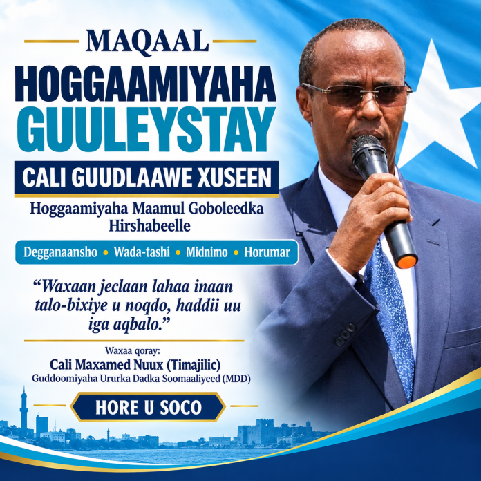 ali gudlawe