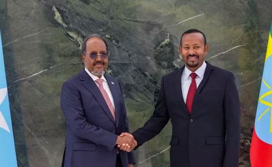 Dawladda Dalka Itoobiya oo Ku Eedeysay Madaxweyne Xasan Sheekh in uu Wado Arrimo ka Hor Imaanaya Danaheeda.